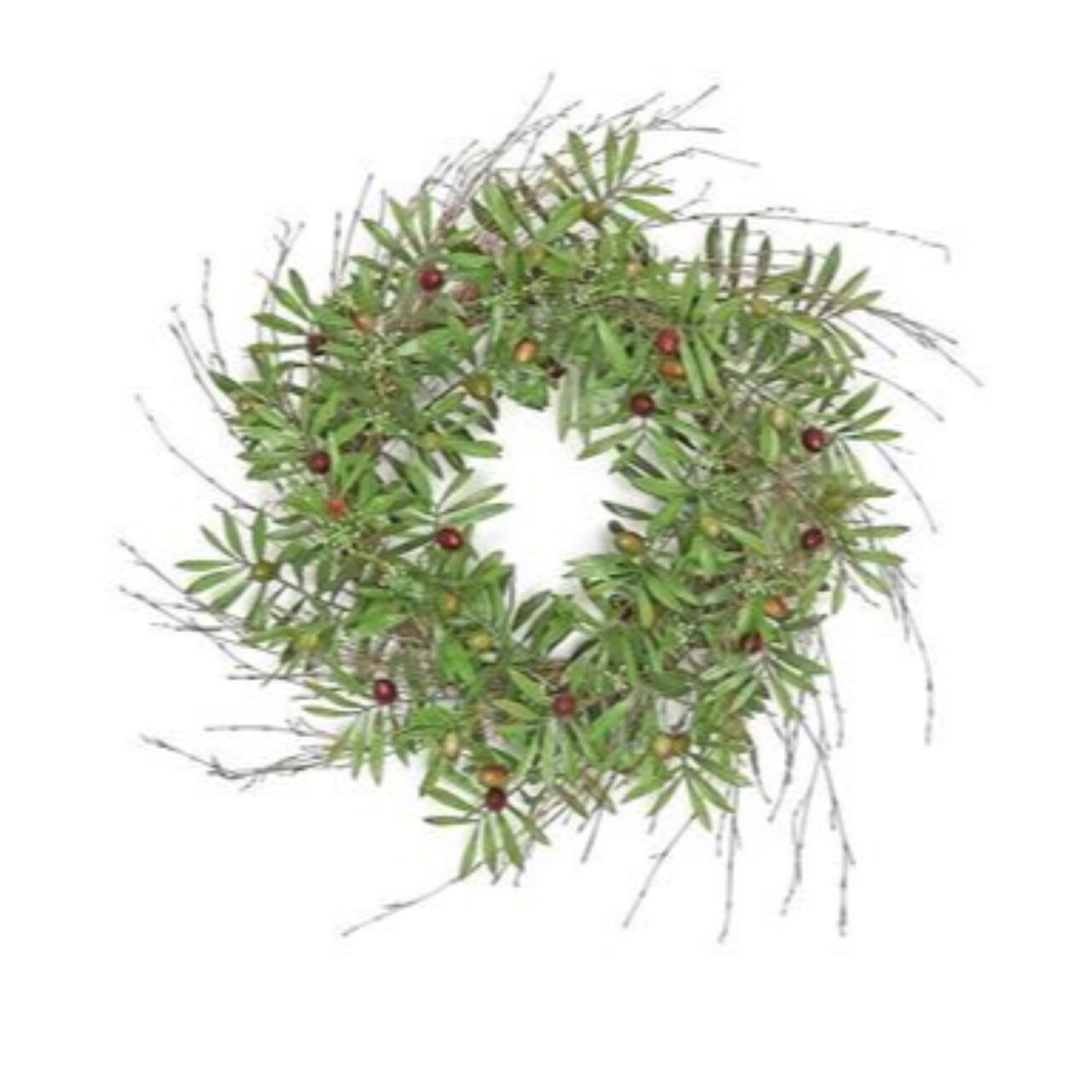 Select Artificials Olive and Seed Artificial Spring Wreath, Green 24-Inch
